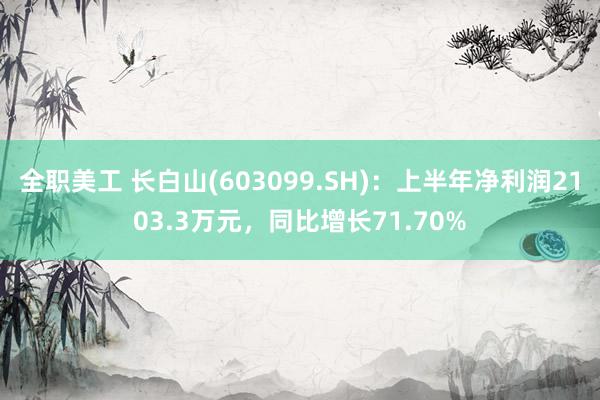 全职美工 长白山(603099.SH)：上半年净利润2103.3万元，同比增长71.70%