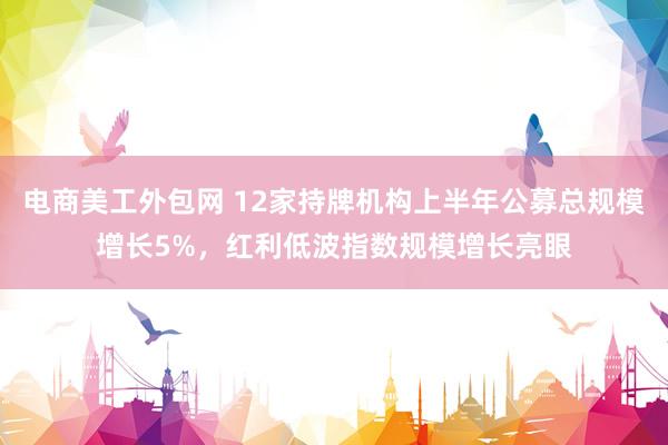 电商美工外包网 12家持牌机构上半年公募总规模增长5%，红利低波指数规模增长亮眼